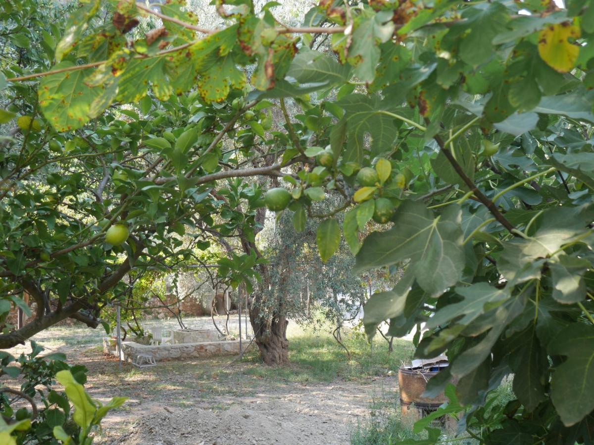O Pyrgos Accommodations Panormos  外观 照片
